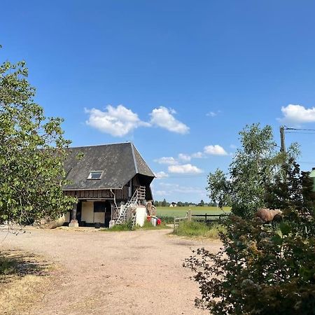 Logis Du Coudray Apartment Boissey-le-Chatel Bagian luar foto